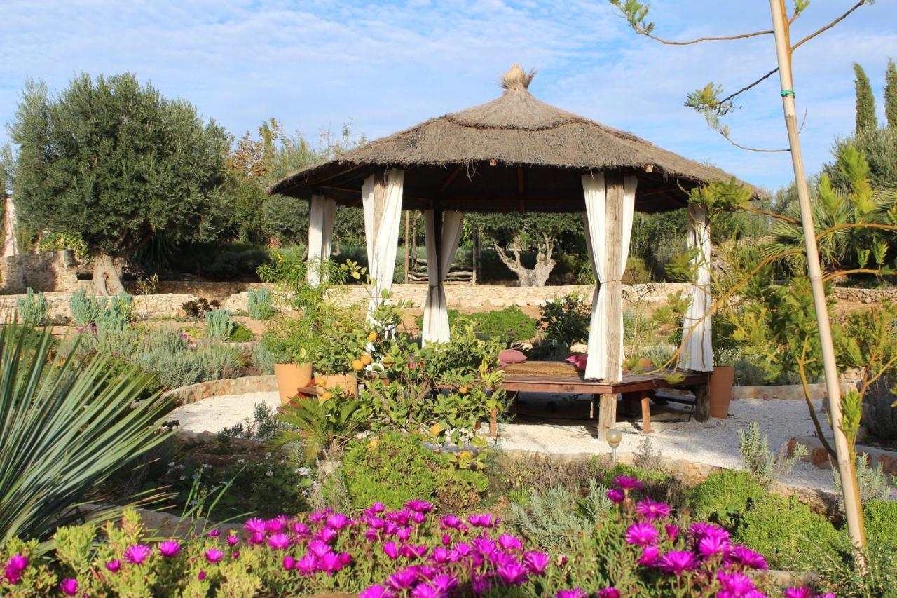 Room In Villa - Beautiful Accommodation At The Heart Of Andalusia Puente Genil Εξωτερικό φωτογραφία